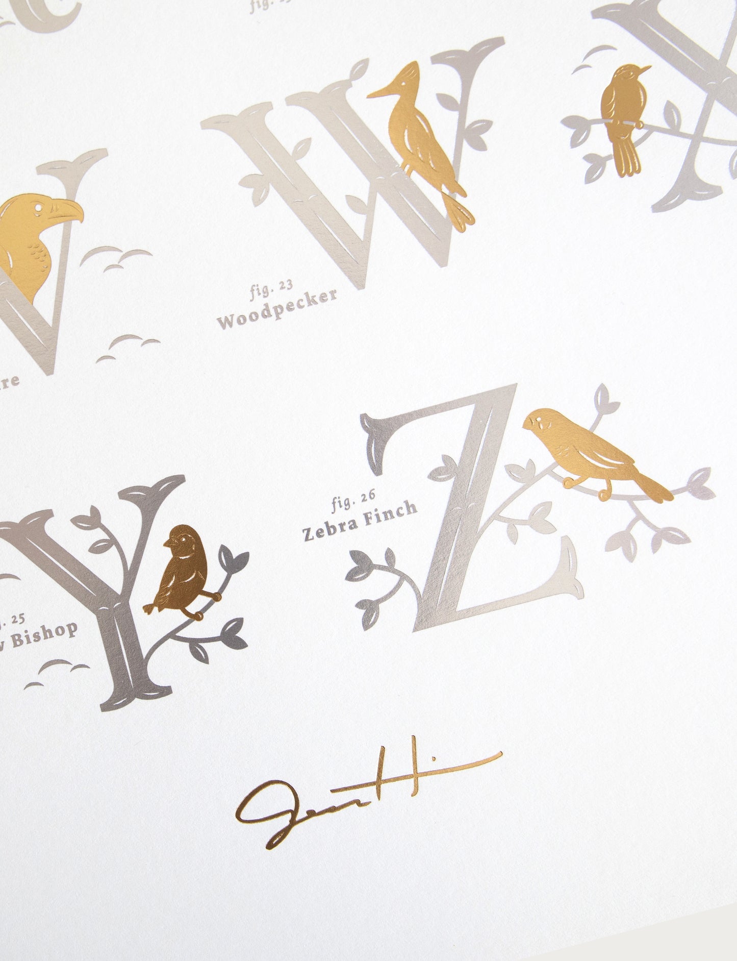 Alphabirds Foil Print